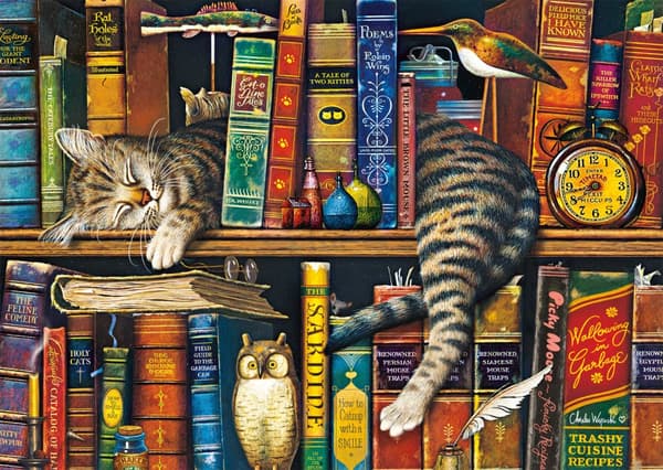 Frederick Charles Wysocki Pussel 1000 bitar Schmidt