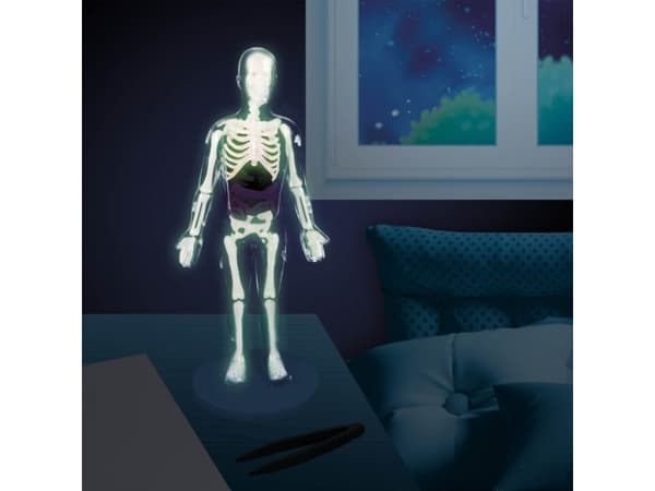 Buki Human Body, Koepakkaus, Anatomia, 8 vuosi/vuosia, Monivärinen