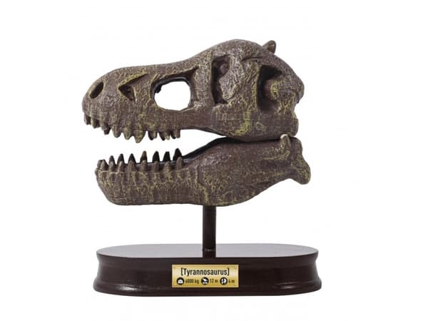 Buki museo Dino kallo Tyrannosaurus, Kokeellinen sarja, Paleontologia, 8 vuotta