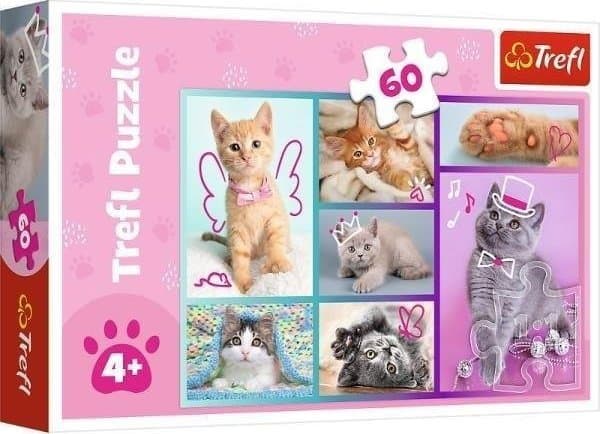 60 søte kattunger