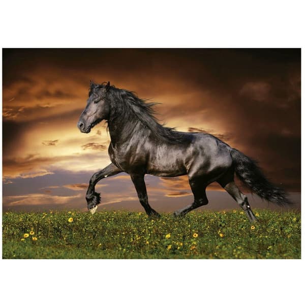 Educa Trotting horse puzzle 1000 pieces