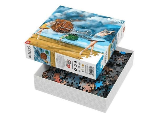 Cenega Imagination, 1000 stykker, Kunst