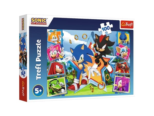Trefl Pussel 100 bitar Meet Sonic Sonic