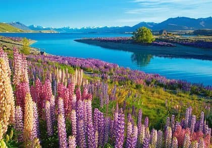 Castorland Pussel 500 bitar Lake Tekapo Nya Zeeland