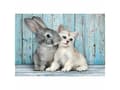 Pikkukuva 2 / 5: Clementoni High Quality Collection Cat & Bunny, 500 pc(s), Animals, 18 yr(s)