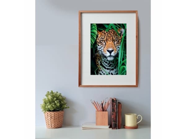 Clementoni High Quality Collection Jaguar in the Jungle, 500 pc(s), Animals, 18 yr(s)