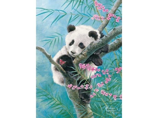 Castorland Puzzle 500 element?w Panda Babusowe sny