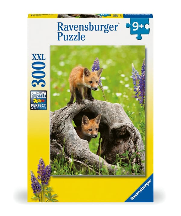 Pussel Curious Foxes 300 XXL bitar, Ravensburger