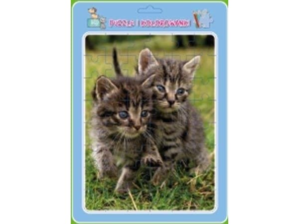 Framed puzzle with coloring book. cats