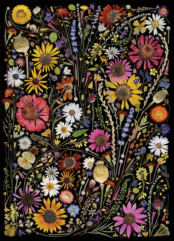 Puslespill Flower Press: Happiness 1000 brikker, Cobble Hill