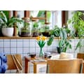 Miniatyrbild 4 av 7: Byggsats Lego Botanical Collection 40747 Daffodils Multicolour 216 Delar