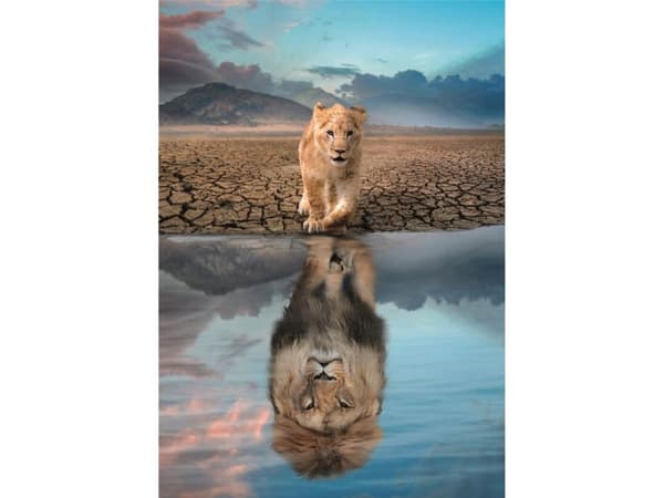 Clementoni Supercolor 21719, 300 pc(s), Animals, 9 yr(s)
