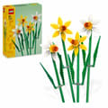 Miniatyrbillede 7 af 7: Konstruktionsspil Lego 40747 Creator Narcisos Multifarvet