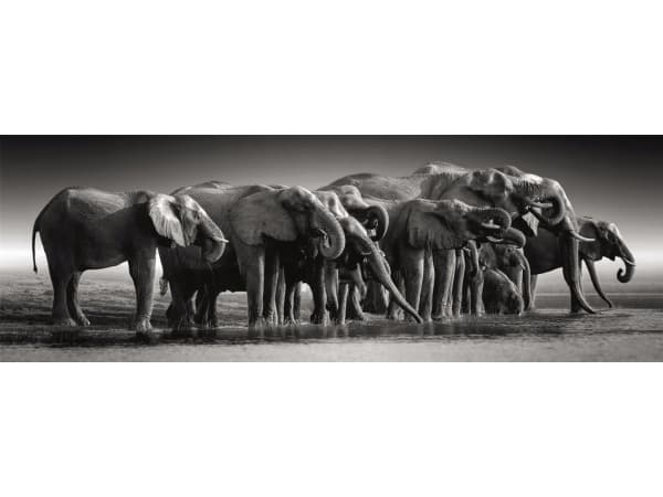 Clementoni Puzzle 1000 elementów Panorama High Quality Herd of Giants