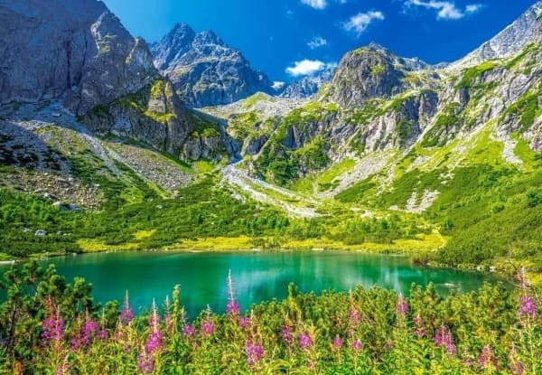 PUSSEL 1000 EL. ZELENE PLESO, TATRAS, SLOVAKIA CASTORLAND C-105267
