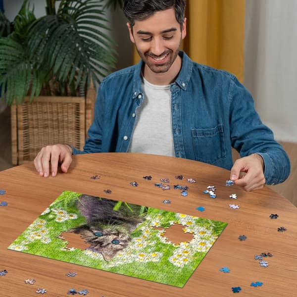 Pussel Kitten In The Meadow 500 bitar, Ravensburger
