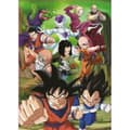 Miniatyrbilde 2 av 2: Puslespill Educa Dragon Ball