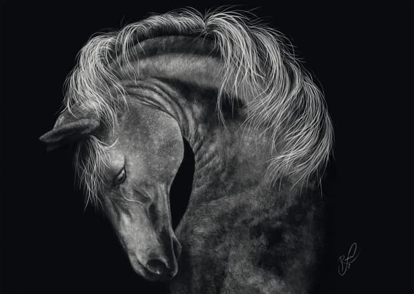 Pussel Power Horse The epitome of strength 1000 bitar, Schmidt