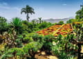 Miniatyrbilde 2 av 4: Ravensburger 12000853, 1000 stykker, Andre