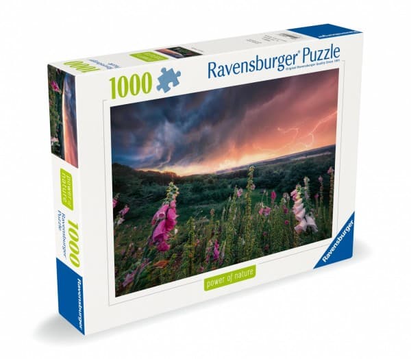 Ravensburger 12000793, 1000 stykker, Andre