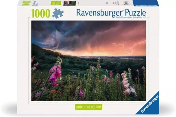 Ravensburger 12000793, 1000 stykker, Andre