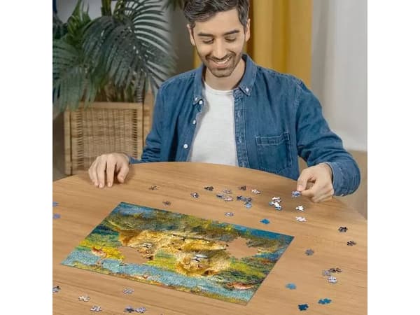 Ravensburger 12000220, 500 pc(s), Other