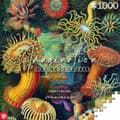 Miniatyrbillede 6 af 8: Puslespil Cenega Publishing Ernst Haeckel Criaturas marinas 1000 Dele