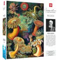 Miniatyrbillede 2 af 8: Puslespil Cenega Publishing Ernst Haeckel Criaturas marinas 1000 Dele