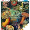 Miniatyrbillede 1 af 8: Puslespil Cenega Publishing Ernst Haeckel Criaturas marinas 1000 Dele