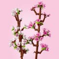 Pikkukuva 4 / 5: Rakennussetti Lego 40725 Creator Cherry Blossoms Monivärinen