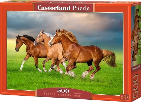CASTOR 500KPL Hevoset kevät kiireessä