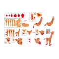 Miniatyrbillede 5 af 7: Toi-Toys 3D Puslespil Giraffe Junior 31,5 Cm Skum Orange 104 stykker