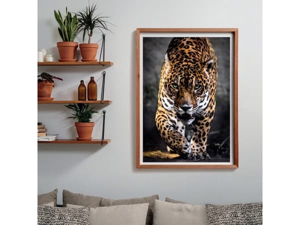 Clementoni High Quality Collection 39947, 1000 pc(s), Animals, 18 yr(s)