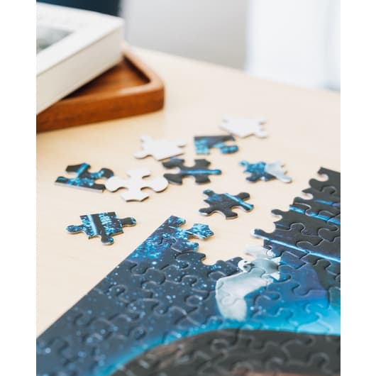 Pussel - HARRY POTTER AND THE PHILOSOPHER'S STONE 500 PIECES