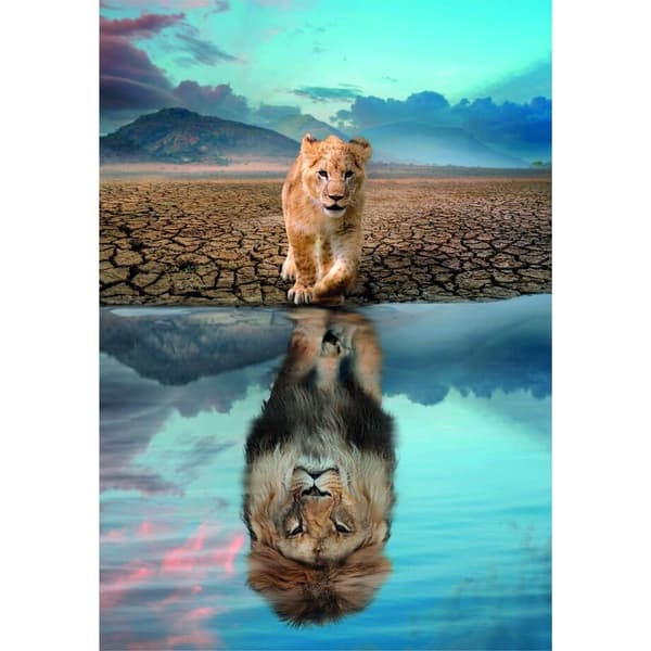 Self Reflection super puzzle 300pcs