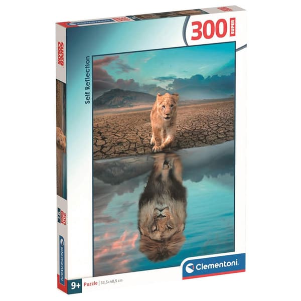 Self Reflection super puzzle 300pcs
