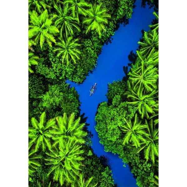High Quality Tropical Aerial View puzzle 500pcs