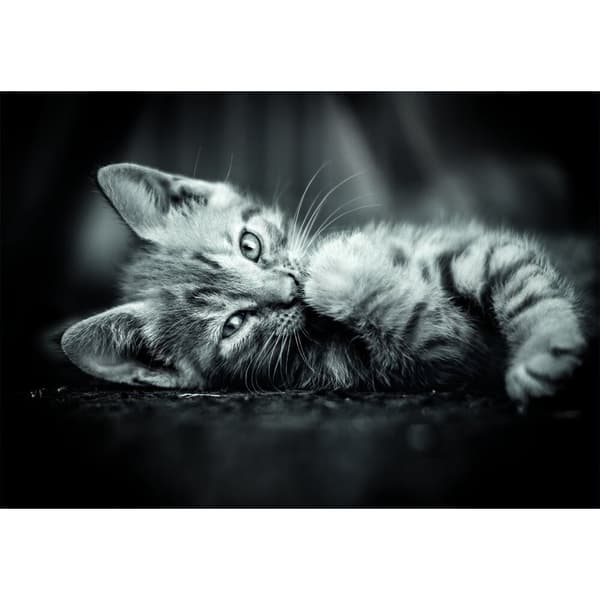 High Quality Kitty puzzle 1000pcs