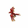 Pikkukuva 7 / 11: Rakennussetti Lego 31161