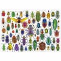Miniatyrbillede 3 af 3: Puslespil Educa Beetles