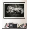 Miniatyrbild 4 av 6: Pussel Clementoni Kitty 1000 Delar