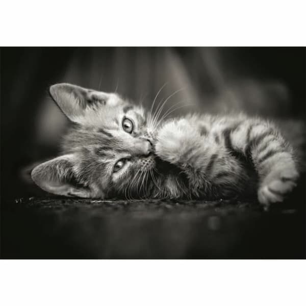 Pussel Clementoni Kitty 1000 Delar