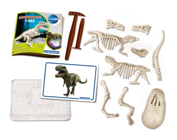 Clementoni 8005125694044, Skjelett, Paleontology, 7 år, Flerfarget