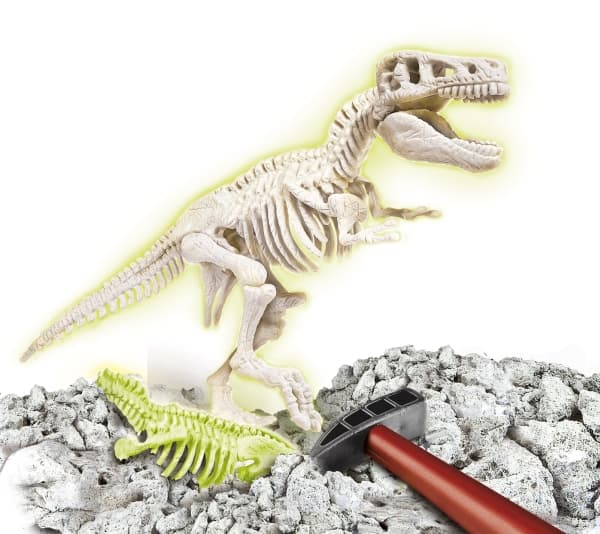 Clementoni 8005125694044, Skjelett, Paleontology, 7 år, Flerfarget