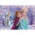 Miniatyrbilde 2 av 5: Puslespill Clementoni Frozen 2 (2 enheter)
