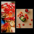 Miniatyrbillede 4 af 11: Konstruktionsspil Lego 10348 474 Dele