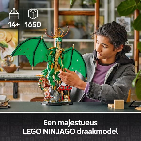 Rakennussetti Lego 71847
