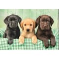 Miniatyrbillede 2 af 6: CLEMENTONI - Kompakt 1000 bitar - Three Labs