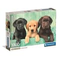 Miniatyrbillede 1 af 6: CLEMENTONI - Kompakt 1000 bitar - Three Labs