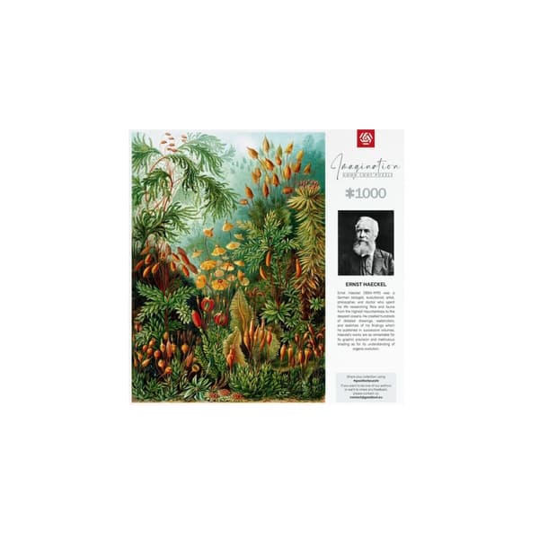 Puslespil Cenega Publishing Imagination: Ernst Haeckel Muscinae 1000 Dele
